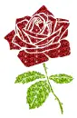 rose