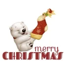 MERRY CHRISTMAS POLAR BEAR