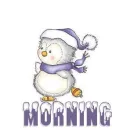 ICE SKATING PENGUIN.. MORNING
