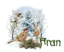 BirdXmas_Fran