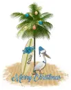 Christmas Palm- Robbie