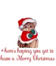 Have a lovely Christmas morning.. glittered Christmas kitty