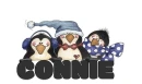 CONNIE'S PENGUINS