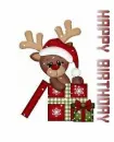 CHRISTMAS REINDEER IN A GIFT BOX.. WITH SNOW.. SAYING "HAPPY BIRTHDAY"