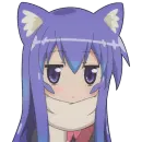 The girl cat
