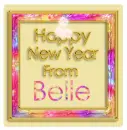 Happy New Year- Belle