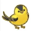 yellow bird
