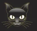black cat