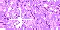 glitter tile