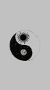 TUMBLR
