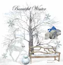 Beautiful Winter