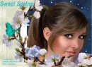 Sweet Spring