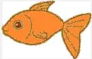 orange fish