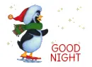 ICE SKATING PENGUIN IN THE SNOW.. GOOD NIGHT