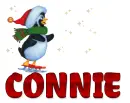 Ice Skating Penguin for CONNIE