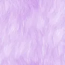 Lilac Background