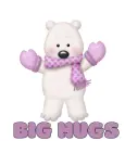 Big Hugs Teddy Bear