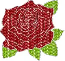 rose with background