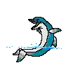 happy dolphin