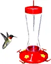 humming bird eats