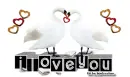 I love you 