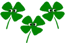 clover