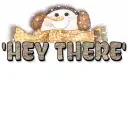HEY THERE