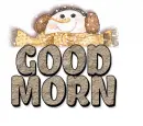 GOOD MORNING