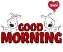 GOOD MORNING
