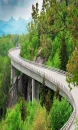 Nature Bridge 0926