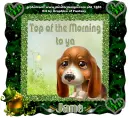 Top of the morning to ya - Jane