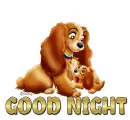 Good Night 