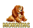 MORNING