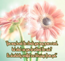 Grow A Seed
