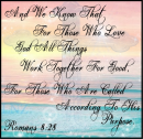 Romans 8-28