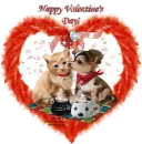 Happy Valentine's Day!