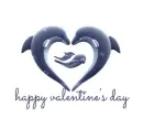 happy valentines day dolphins