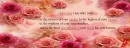 Dreams <Quote>