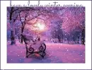 have a lovely winter evening