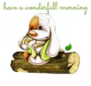 have a wonderfull morning