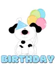 Birthday pup