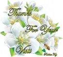 Thanks for your Visit