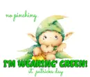 ST. PATRICKS DAY.. NO PINCHING.. I'M WEARIN' GREEN
