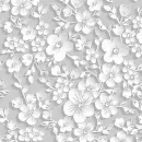 White flowers background
