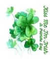 Kiss me i'm irish.. st. Patricks Day â™§