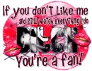 Bitch You're A Fan