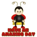 HAVE AN AMAZING DAY 