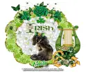 Irish Dog - Emily