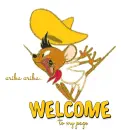 WELCOME to my page