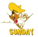 SUNDAY 